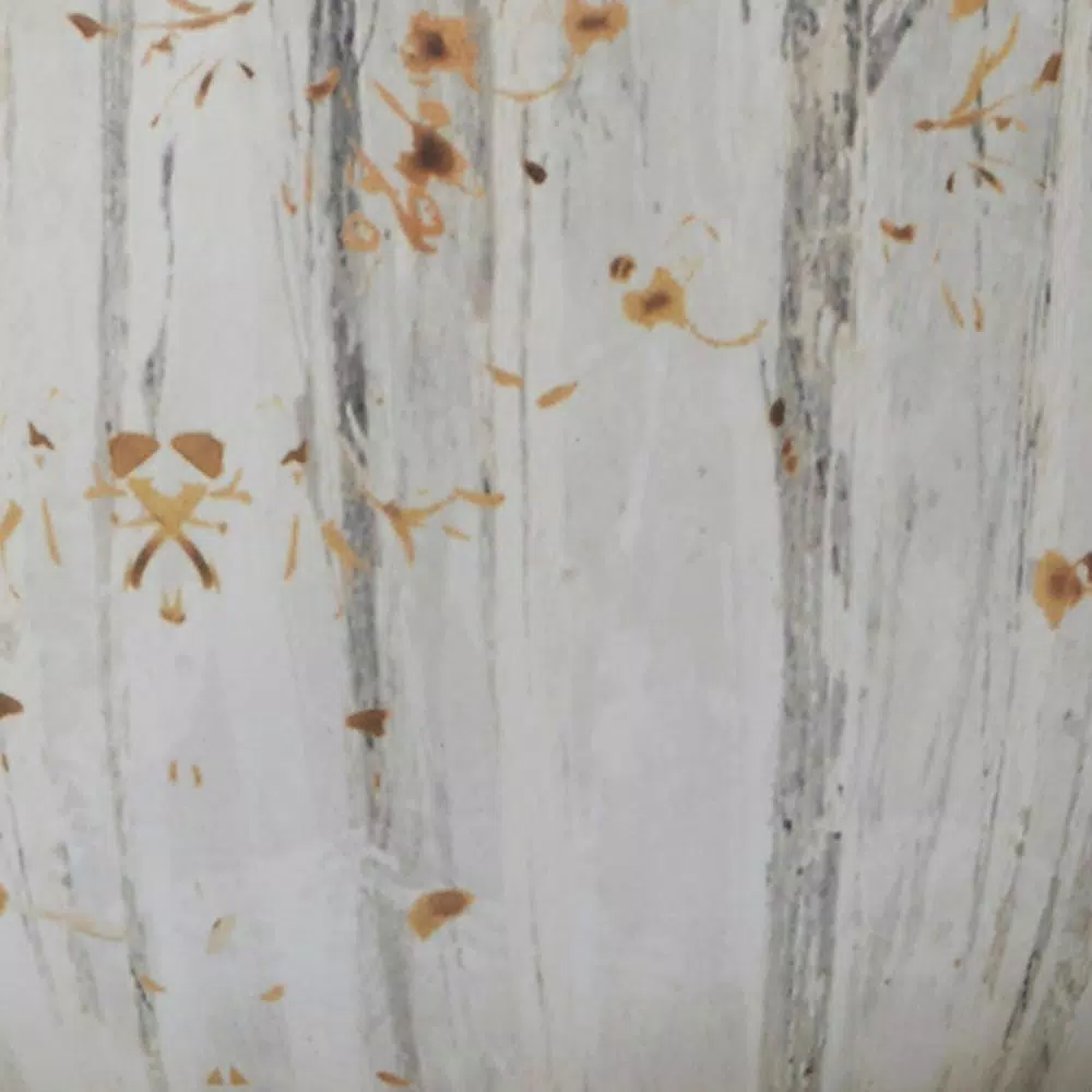 Best deal β Certified International A Woodland Walk 12.5 In. Grey And Sepia Ceramic Square Platter π 4 Best deal β Certified International A Woodland Walk 12.5 In. Grey And Sepia Ceramic Square Platter π - Image 2